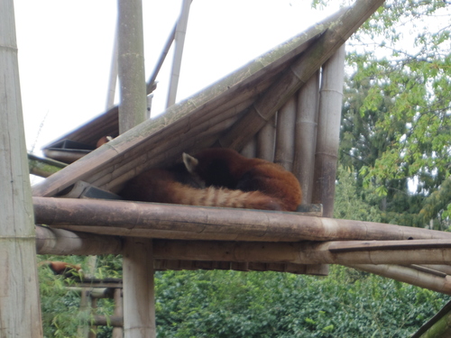 e0123104_2533359.jpg