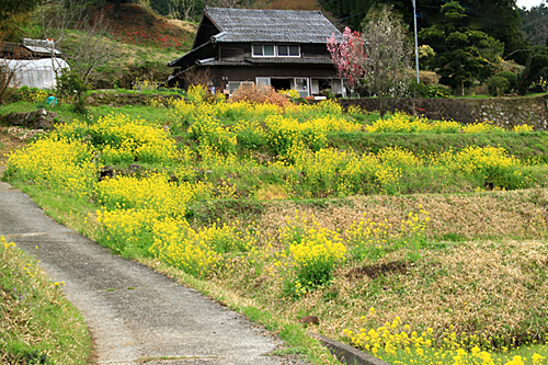b0014607_2137165.jpg