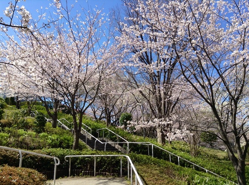 c0301808_12552710.jpg