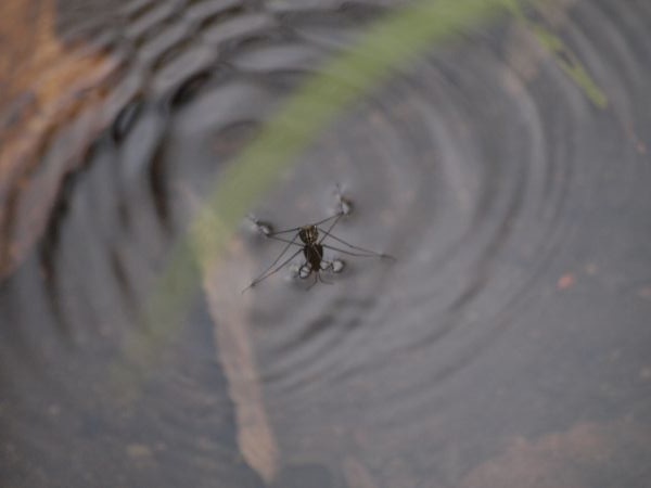 c0164709_07370573.jpg