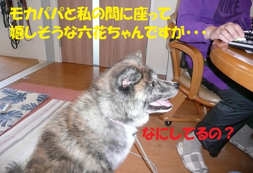 f0121712_15342145.jpg