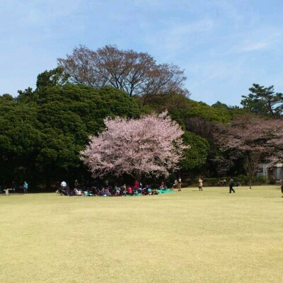 c0207113_182557.jpg