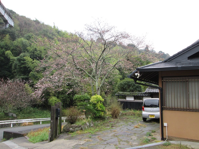 d0200414_14474555.jpg