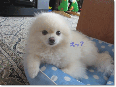b0167519_23102537.gif