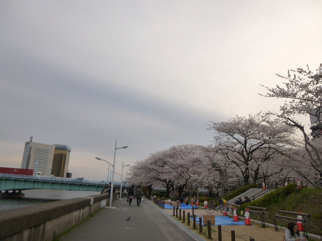 隅田公園へお花見に_f0141821_2142528.jpg