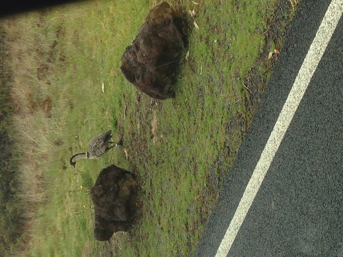 f0170524_14101771.jpg