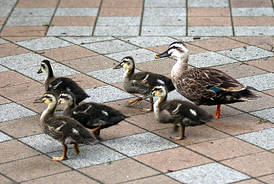 f0224624_21293532.jpg