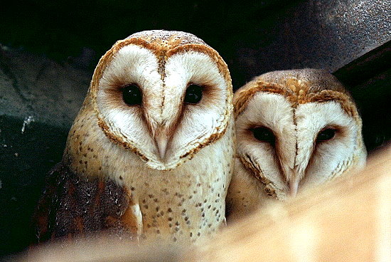 f0224624_21395758.jpg