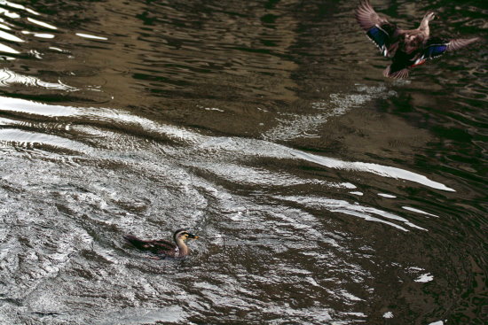 f0224624_2181580.jpg