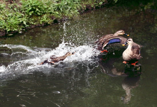 f0224624_218486.jpg