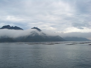 a0071926_20064390.jpg