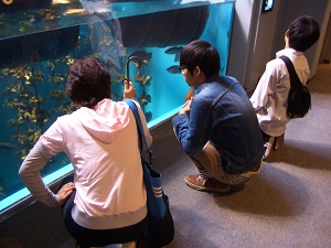 a0071926_20073675.jpg