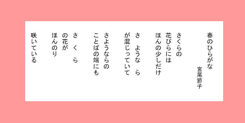 さくらさくら : 晴れときどき 宮尾節子