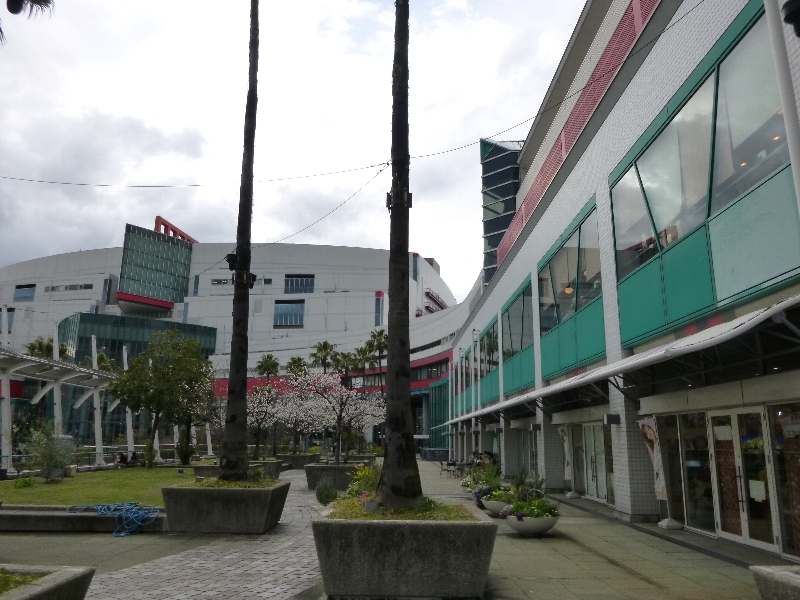 c0113733_1103516.jpg