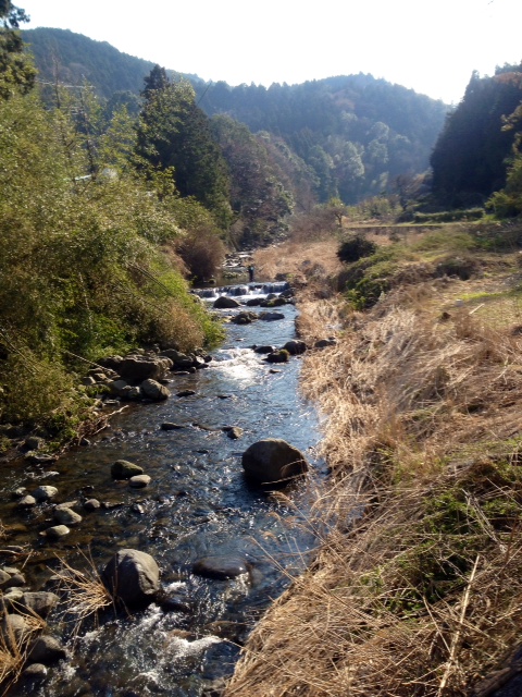 酒匂川水系 U川K川釣行 その3_c0149633_17113148.jpg