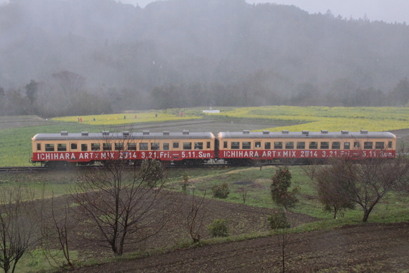 雨の日の小湊鉄道_f0217933_1391381.jpg