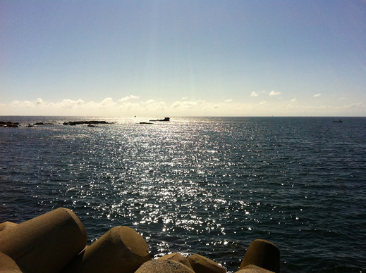 d0013834_24764.jpg