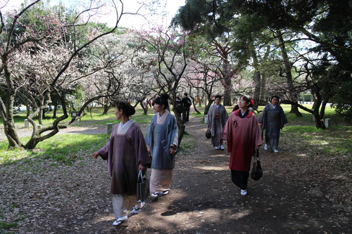 京都要庵歳時記　『桜・さくら・ｓａｋｕｒａ』　主人の桜開花報告　3」_d0033734_22293848.jpg