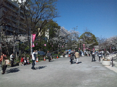 d0011635_15392129.jpg