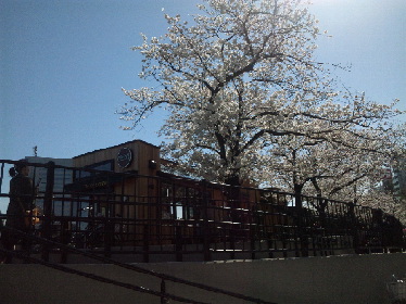 d0011635_15392157.jpg