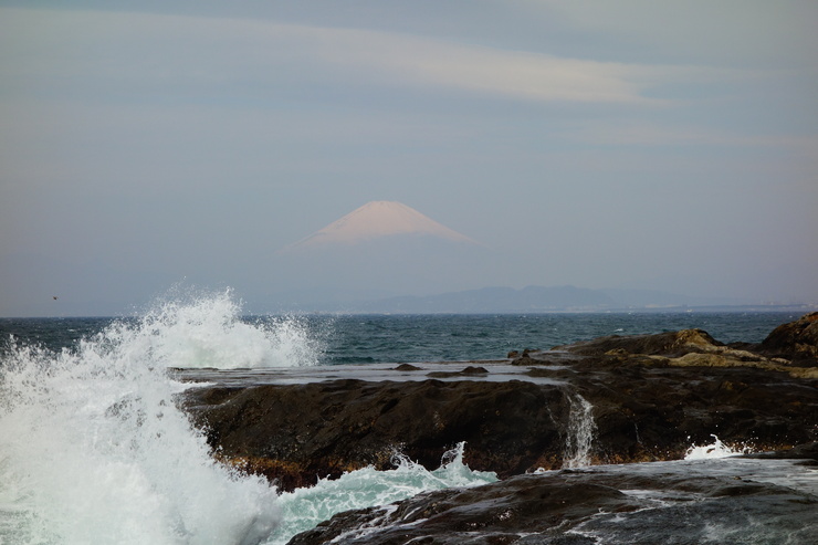 a0287336_1732120.jpg