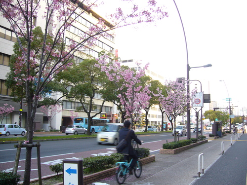 a0262342_20114921.jpg