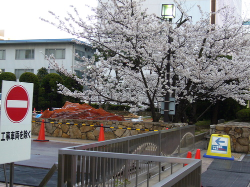 a0262342_20331065.jpg