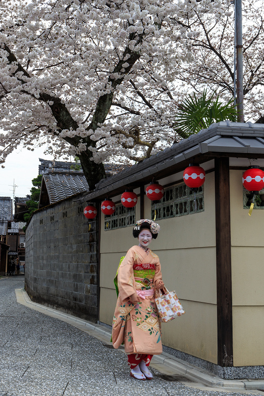 平野神社・魁桜と、上七軒の桜の下で（勝瑠さん、市知さん、勝音さん、梅ちえさん、勝奈さん）_f0155048_045290.jpg