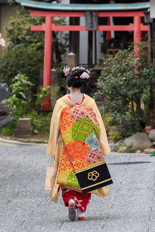 平野神社・魁桜と、上七軒の桜の下で（勝瑠さん、市知さん、勝音さん、梅ちえさん、勝奈さん）_f0155048_05413.jpg