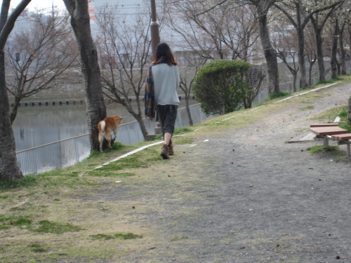 f0245650_10073033.jpg