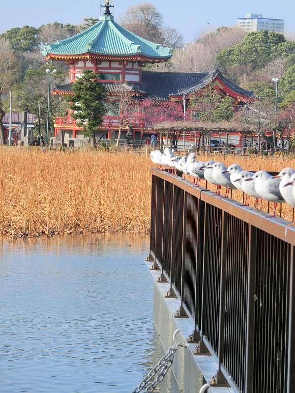 京浜ブラブラ_d0113554_858207.jpg