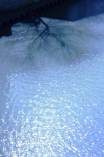 e0284355_2315616.jpg