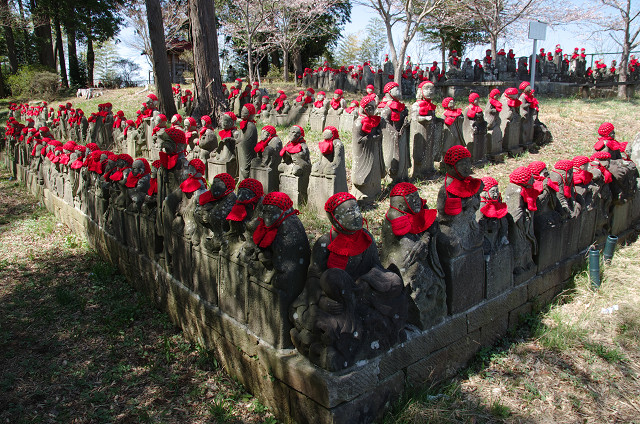 茨城・稲敷　　竹林と桜花の五百羅漢_c0080357_19474658.jpg