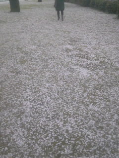 真ん中の道_a0117358_17231878.jpg
