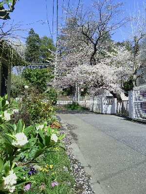 e0131959_2246443.jpg