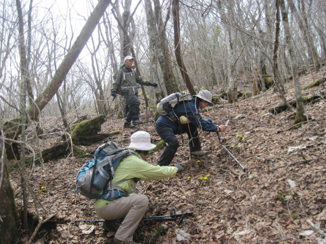 2014.3.31　阿佐尻山1374ｍ_c0219866_19323864.jpg