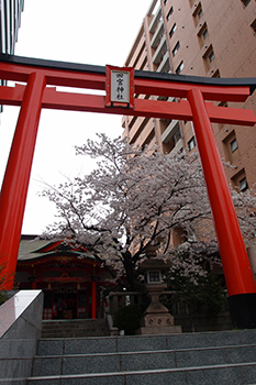 c0256166_1837437.jpg