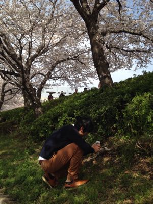 桜満開🎵_e0136066_21434262.jpg