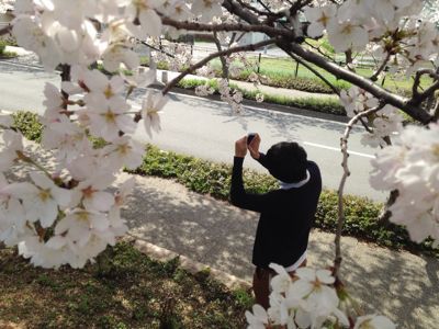 桜満開🎵_e0136066_21434427.jpg