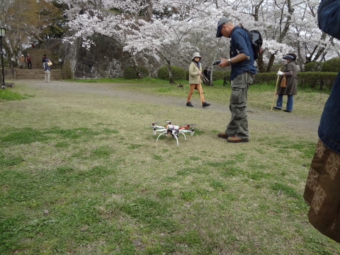 日本ミツバチＡ群　二回目分蜂_b0246869_20202484.jpg