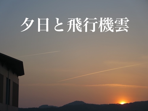 秋田_c0000970_1758599.jpg