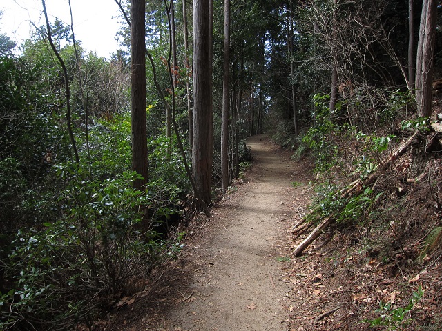 f0202271_14744.jpg