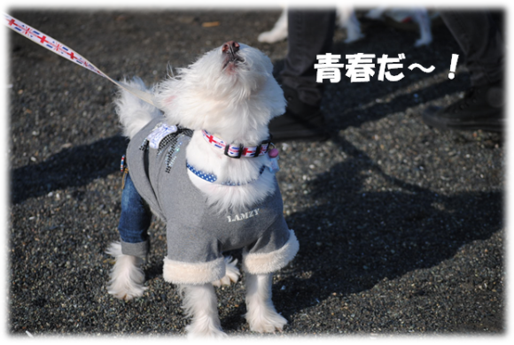 b0242873_19441874.png