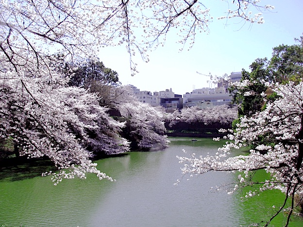 b0321680_18065011.jpg
