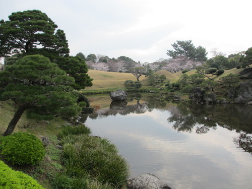 朝のお抹茶とフェリー。_a0177484_9332819.jpg