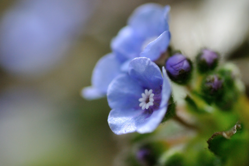 a0143491_0132056.jpg