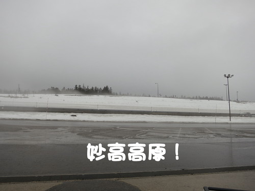 怒涛の3月が終わったったｗｗｗ_b0200291_22171475.jpg