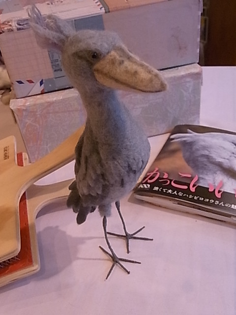 鳥展、展示をがらりと変更!展示の様子たっぷりご紹介_d0322493_1152398.jpg