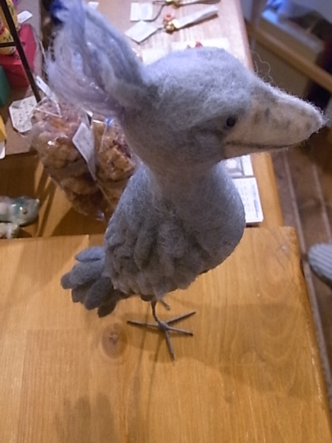 鳥展、展示をがらりと変更!展示の様子たっぷりご紹介_d0322493_115240.jpg
