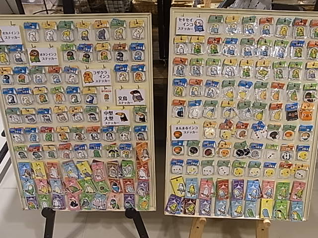 鳥展、展示をがらりと変更!展示の様子たっぷりご紹介_d0322493_1244675.jpg
